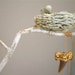 Gold Shark Tooth Necklace - Striped Fossil Mackerel Shark