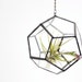 Small Dodecahedron // Hanging Geometric Terrarium // recycled glass - Air plants - small succulents - window garden