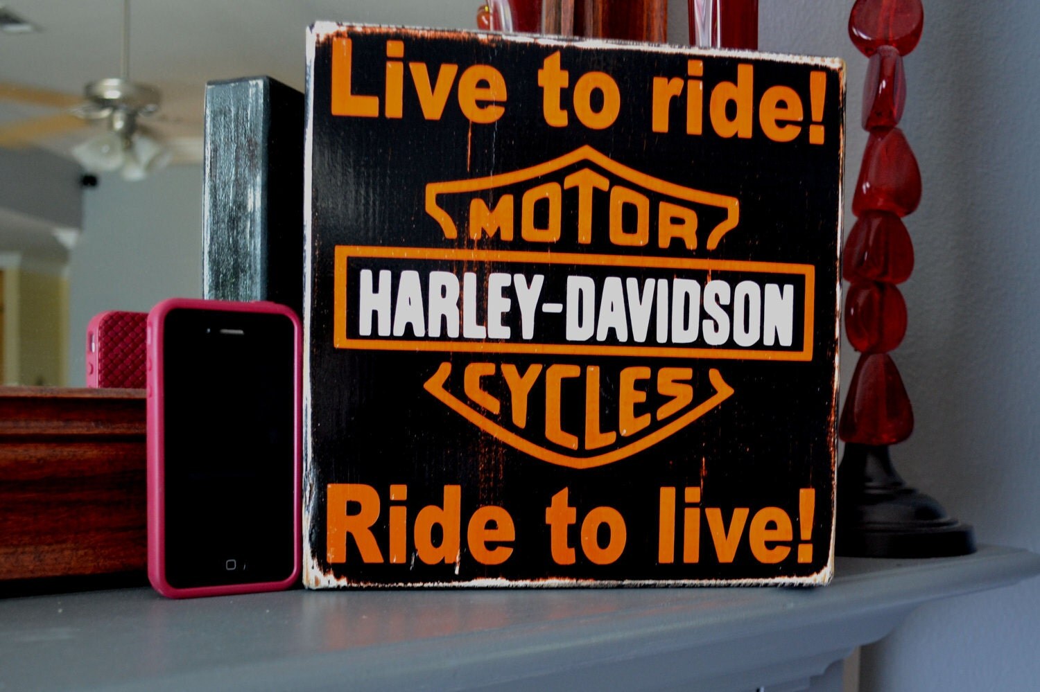 harley davidson live to ride