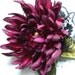 Dark purple chrysanthemum aster-Bridal Brooch,hair clip,comb-Weddings accessories,bride,bridesmaid,girl photo prop