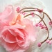 Romantic roses-Hair comb,alligator clip or brooch-Bride,bridesmaid,shabby chic wedding,photo prop-Pale pink