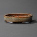 Small Bonsai pot for Shohin bonsai