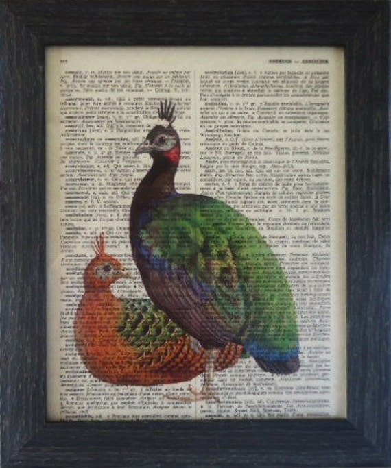 Peacock Art Print On An Vintage French Dictionary By Frenchprints