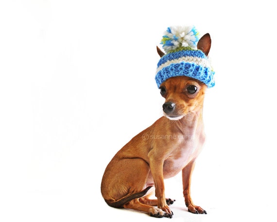 winter hats for chihuahuas