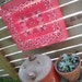 Vintage Red Bandana FAST COLOR elephant trunk down Mid Century Handkerchief