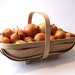 Garden Trug, traditional bent wood sussex trug