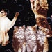 Soap Bubble Cats Cats Playing with Bubbles Cat Fabric - Whiskers and Tails