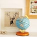 Handsome Stag screen print picture
