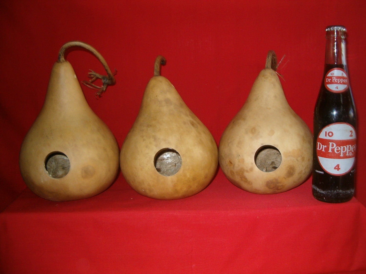 Group of 3 6 inch Gourd Birdhouse Entrance hole 11/4