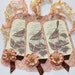 Brown birds in tree vintage graphic tag with hand dyed ribbon and flower
