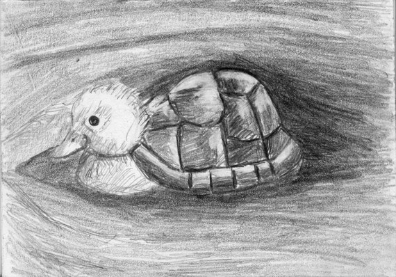 Turtle Duck Pencil Drawing Hybrid Animals Series