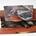 Wood business card holder, custom made, Juniper. UBER UNIQUE.