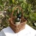 Vintage French basket bottle carrier