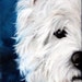 PRINT Westie West Highland Terrier Dog Puppy Art Oil Painting Home Decor / Mary Sparrow Smith