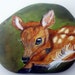 Fawn - River Rock Art