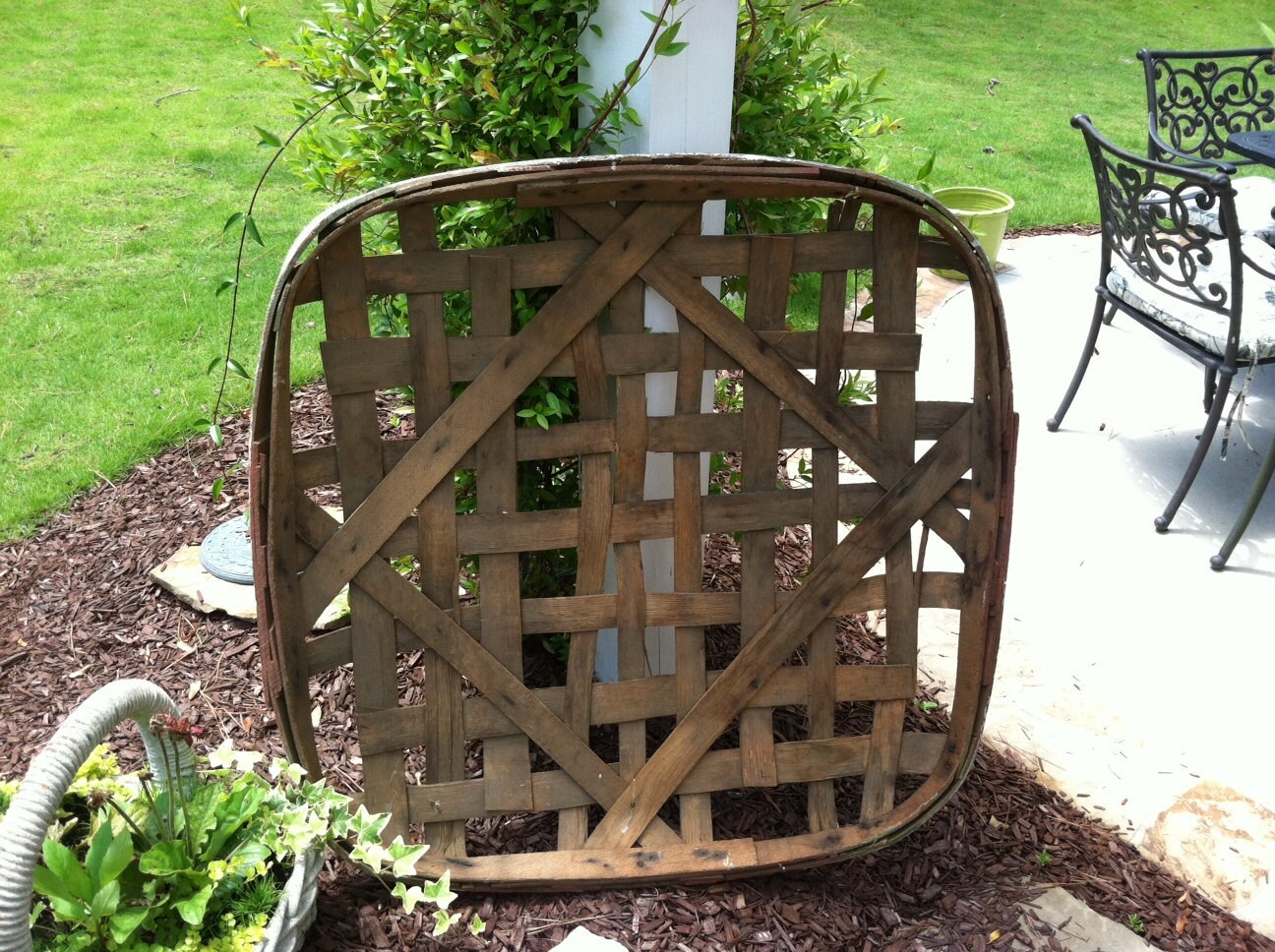 Tobacco BasketWhite Springfield KY