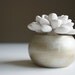 Modern White Succulent Sculpture in Round Champagne Container, Tabletop Centerpiece, Desktop Accessory, Home Decor