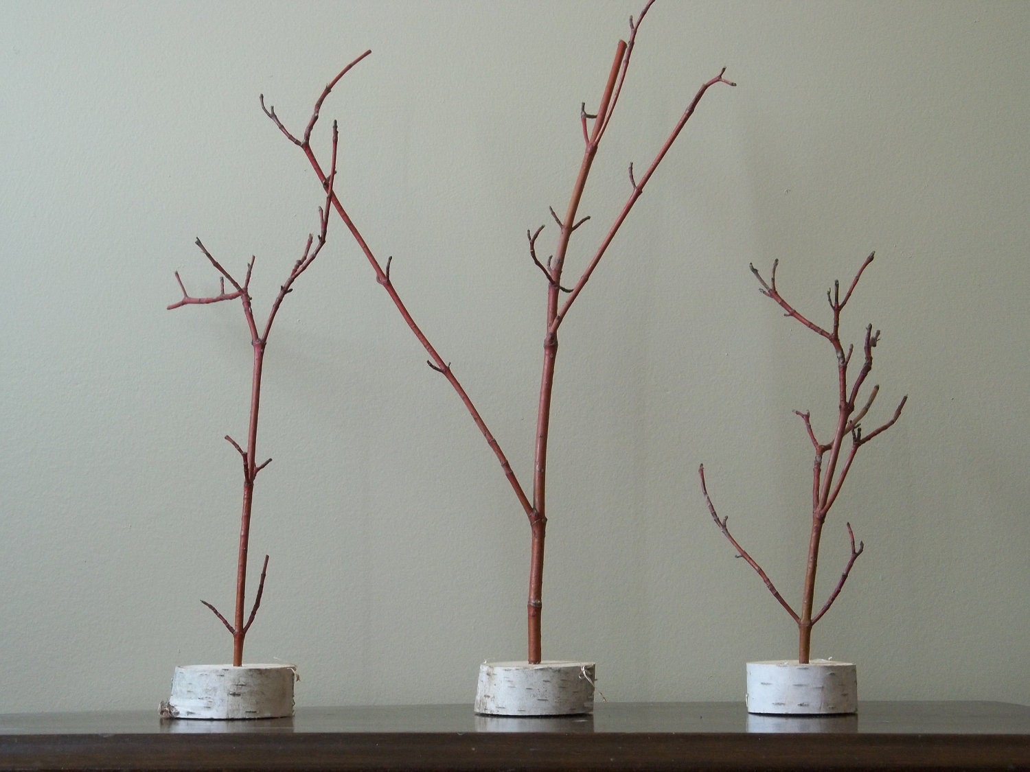 Miniature Trees Three Dogwood/White Birch Natural Branch