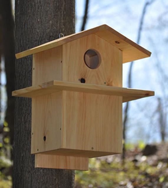 items-similar-to-squirrel-house-on-etsy