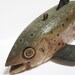 Antique Trout Ice Fishing Decoy
