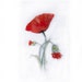 Watercolor painting of Peonies -Art original-Poppies painted by watercolors