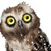 The Good Morning Owl, original painting by ozozo