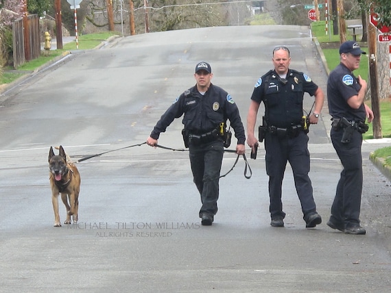 Police Search for a Burglary Suspect Grants Pass. Oregon