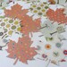 Autumn Fall Leaf Leaves Paper Cut Outs Cutouts Tags Decorations Scrapbooking Embellishments Set of 50