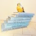 Bundle of Six Light Blue Vintage Hardback Books