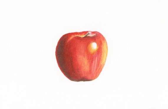 Download Items similar to Apple drawing - prismacolor (colored ...