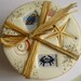 Beach Coasters (Set of 4 ) Real seashells in absorbent clay with coastal art
