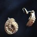 Vintage Gold and Pearl Swirl Clip Earrings