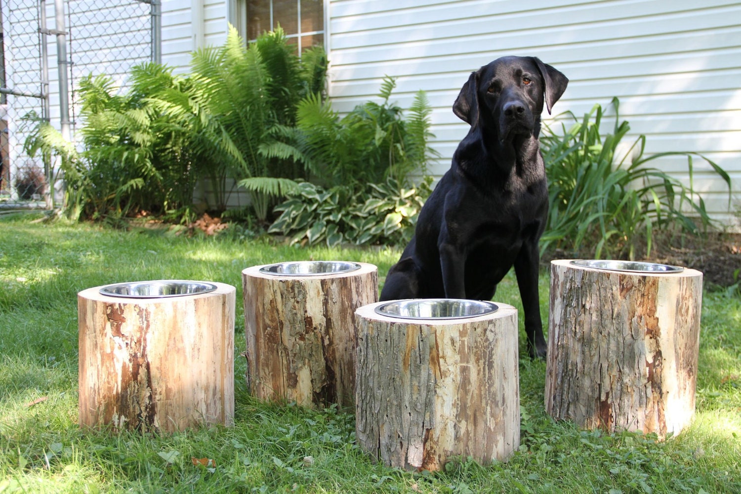 Log Dog Feeders Raised