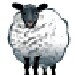 sheepsinthemeadow
