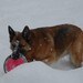 redgsd