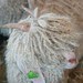 AnsleyKnits