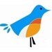 hellobettybluebird