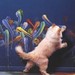 alphapainter