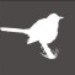 mysparrow