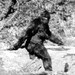 skunkape360