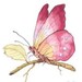 mybaggycreations