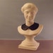 Leather peter pan collar necklace detachable removeable