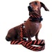 Eco Dog Harness - Renewable Orange Leopard Cotton - Medium