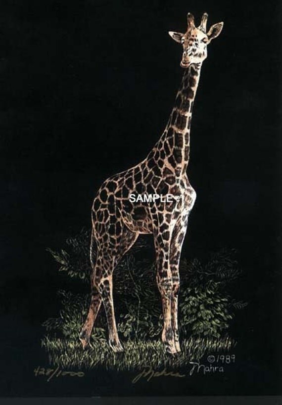 Items similar to Giraffe Scratchboard Art by Jeanine Nahra on Etsy