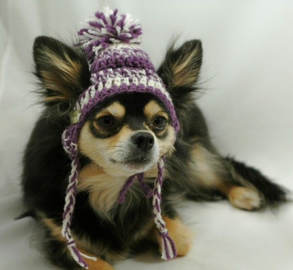 Items similar to Crocheted dog hat, XSS dog ear flap braids, purple