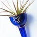 Air Plant Holder - Recycled bottle -Cobalt Blue 5
