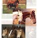 Horses Digital Collage Sheet