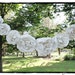 Shabby Chic Paper Flowers Rose Garland SWAG from Vintage Book Pages Romantic Decor Weddings Cream 6 ft with 18 Roses
