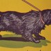 Angus and the Cat - Marjorie Flack - Early edition from the 1930s - Scottish Terrier
