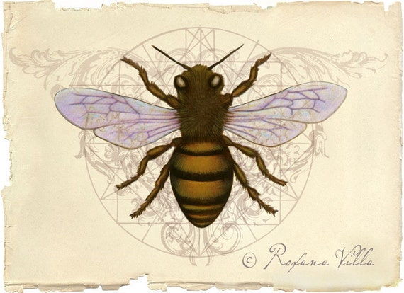 Items similar to Honey Bee Original Art Print - Home Decor for the